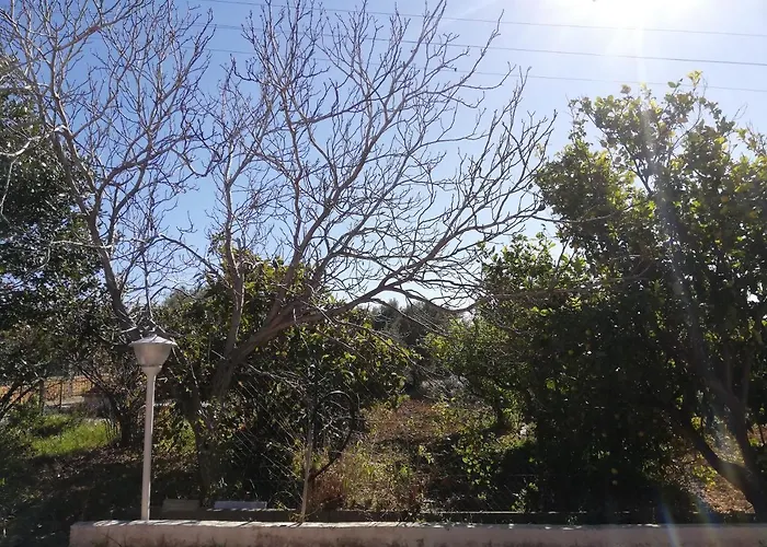 Bed & Breakfast Capinera